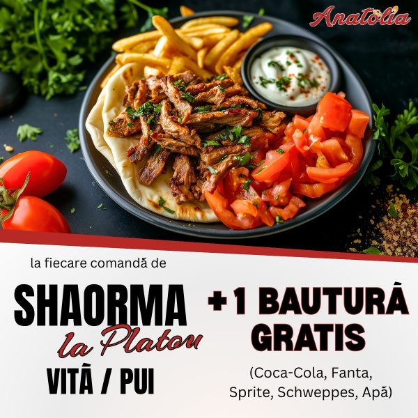 Comanda O Shaorma la Platou de pui / vita si primesti gratis 1 Bautura Racoritoare (Coca - Cola, Fanta, Sprite, Schweppes, Apa Plata/Minerala)