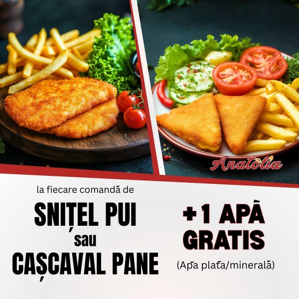 Comanda Un Snitel de pui sau un Cascaval Pane si primesti gratis 1 Apa Plata/Minerala